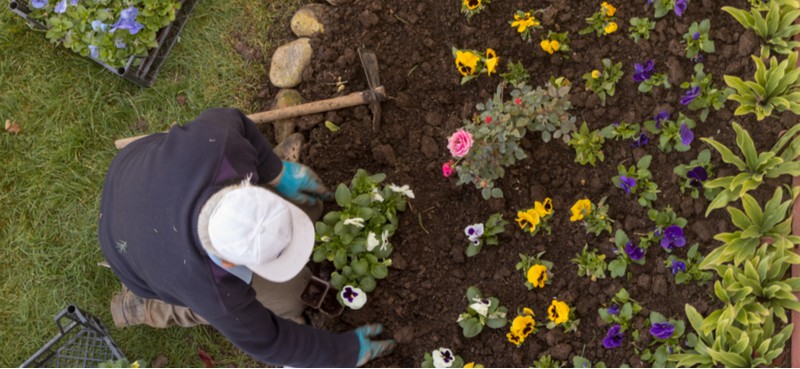 TIPS AND TRICKS FOR YOUR GARDEN IN EARLY JULY