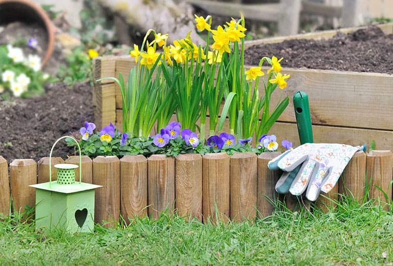 TIPS AND TRICKS FOR YOUR GARDEN IN MAY