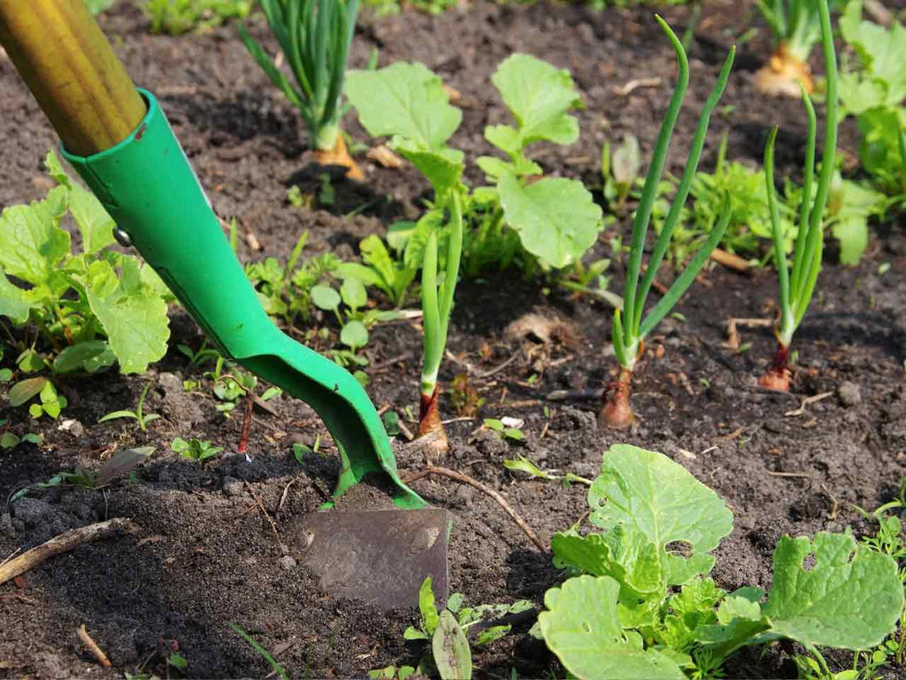 GARDEN TIPS FOR EARLY APRIL