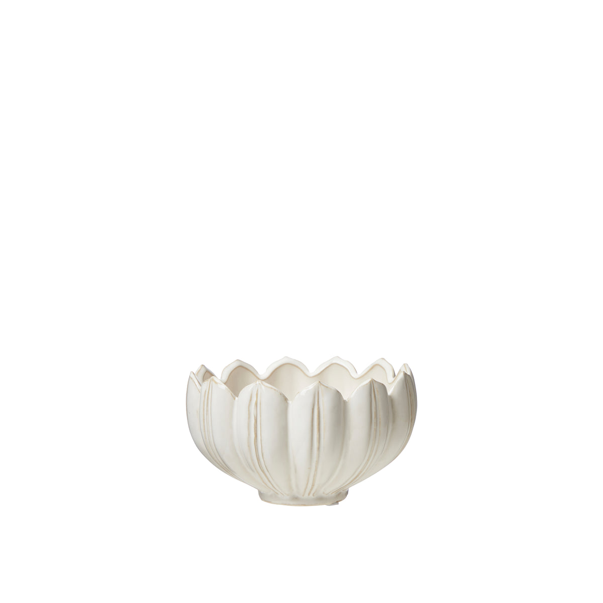 Dish Cache Leslie Planter Indoor – O Meara's Garden Centre